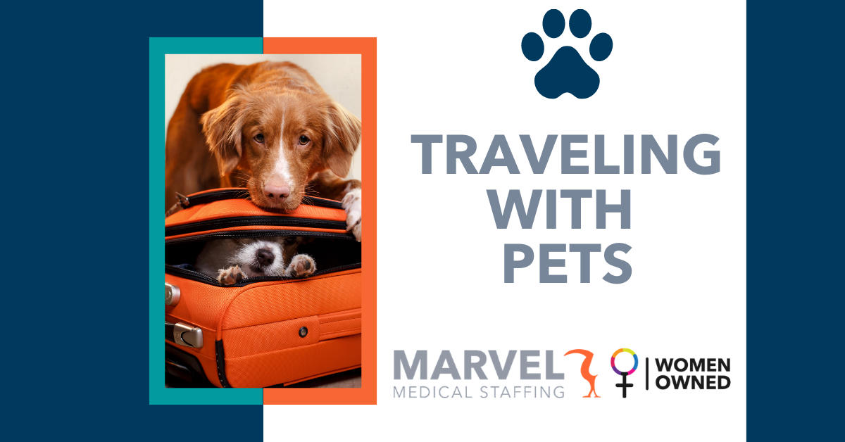 Traveling with pets blog